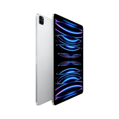 IPAD PRO 12.9.256 go.silver