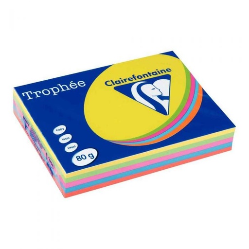 [PAP5] 500 feuilles A4 assorties intensives 80g 1704